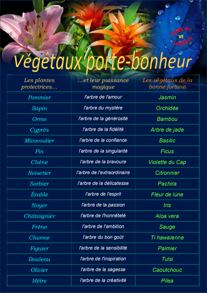 PLANTE TOTEM