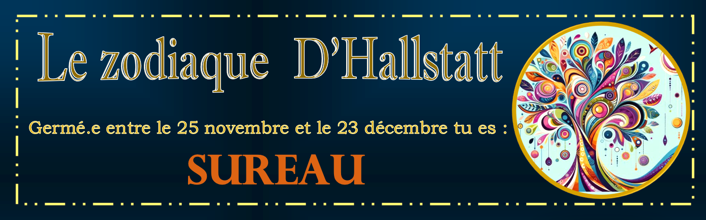 12 SUREAU