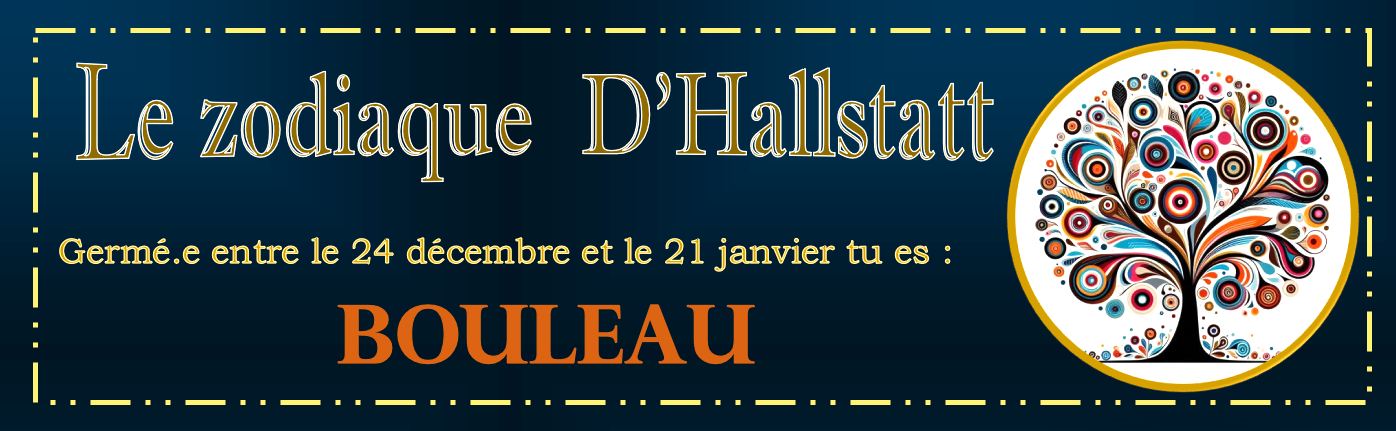 13 BOULEAU
