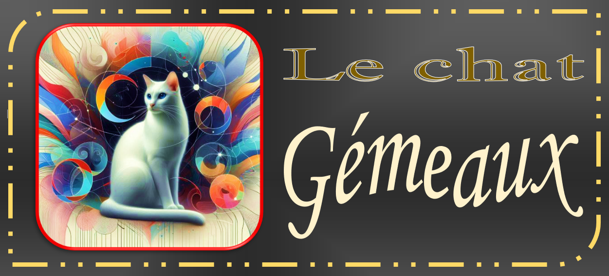ASTRO-CHATS GRIS (10)