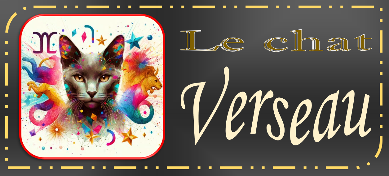 ASTRO-CHATS GRIS (2)