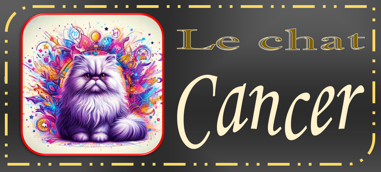 ASTRO-CHATS GRIS (9)