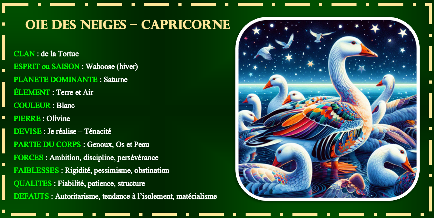 OIE DES NEIGES