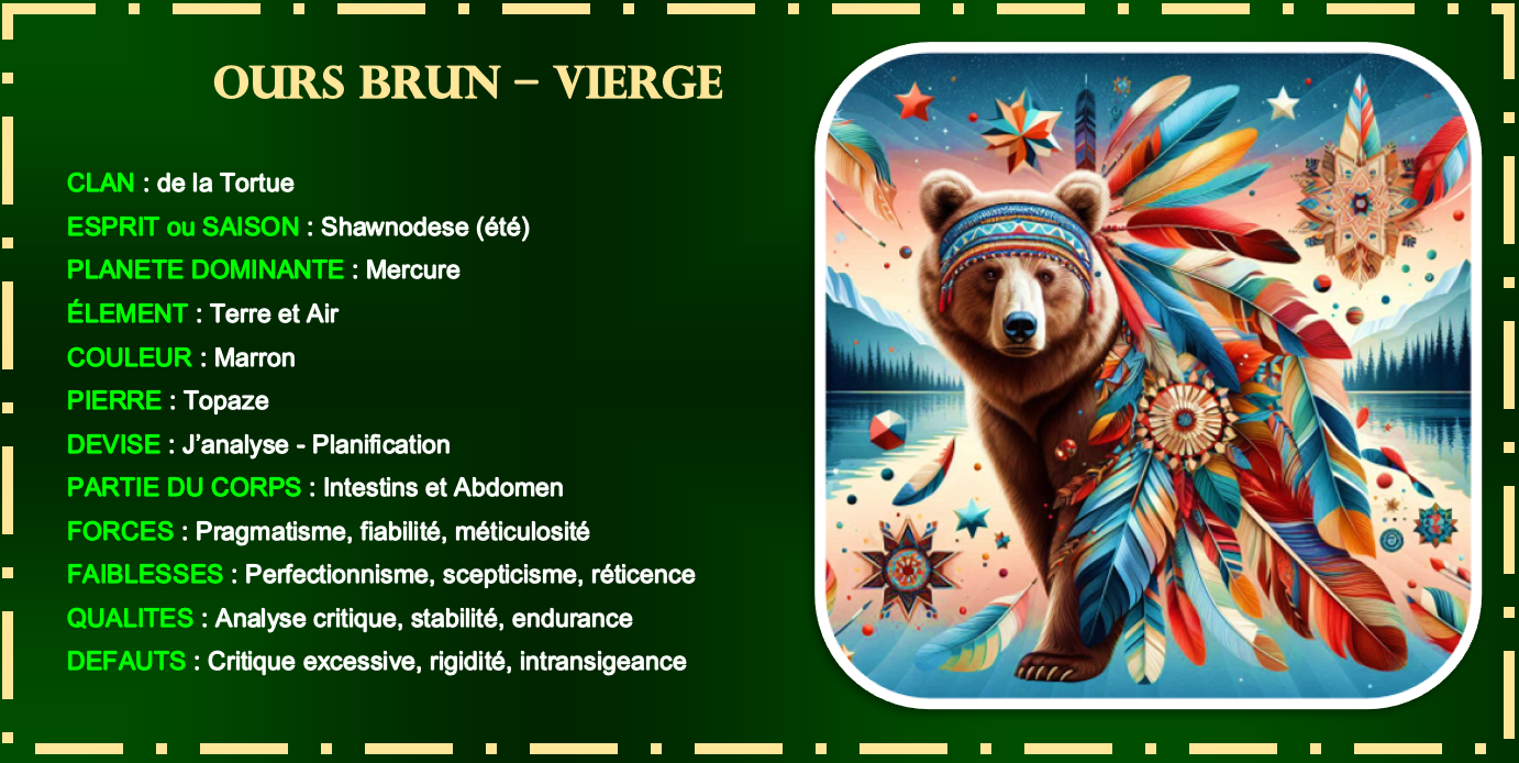 OURS BRUN