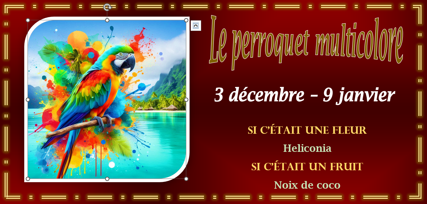 tahiti 11